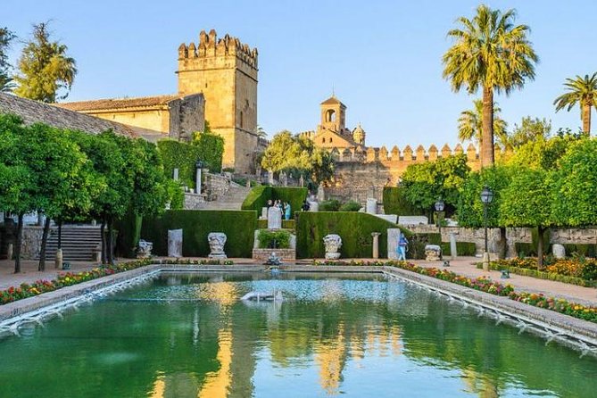 Private 3-hour Walking Tour of Cordoba with official tour guide - The Mezquita-Cathedral: Your One Included Ticket Stop