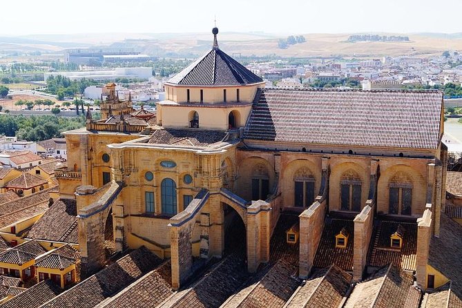 Private 3-hour Walking Tour of Cordoba with official tour guide - Roman Bridge: Quick Footstep, Big Historical Contrast