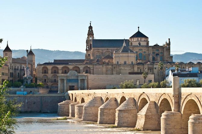 Private 3-hour Walking Tour of Cordoba with official tour guide - Official Guide Luis: The Real Value in a Private Tour