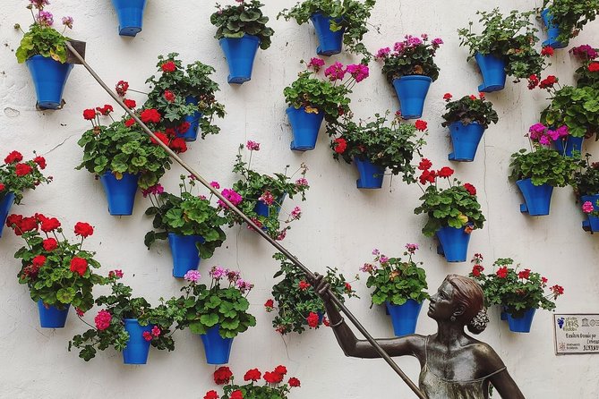 Private Córdoba Highlights Walking Tour - World Heritage Historic Centre: what the guide helps you see
