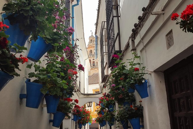 Private Córdoba Highlights Walking Tour - Patios, narrow lanes, and Andalusian daily life stories