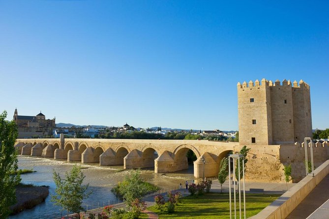 private guided walking tour of the historic center of Córdoba - Key highlights you’ll remember