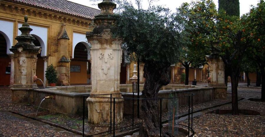 Private Tour of the Mosque-Cathedral and Jewish Quarter - Price and Value: $288 Per Group for a Focused Private Tour