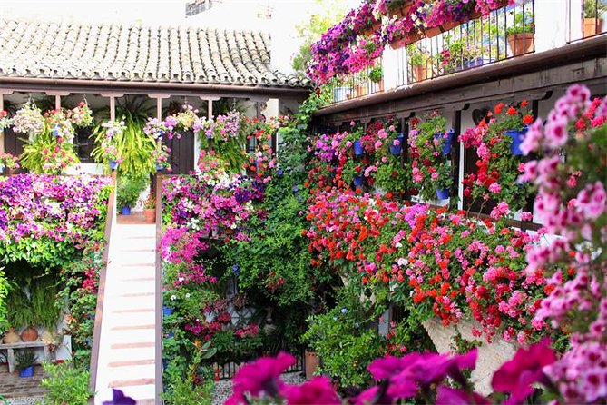 Private tourist route in Córdoba - Plazas that actually change the feel of the city
