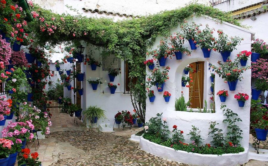 Sights, Sounds, and Scents of Córdoba's Patios - Key points you should care about