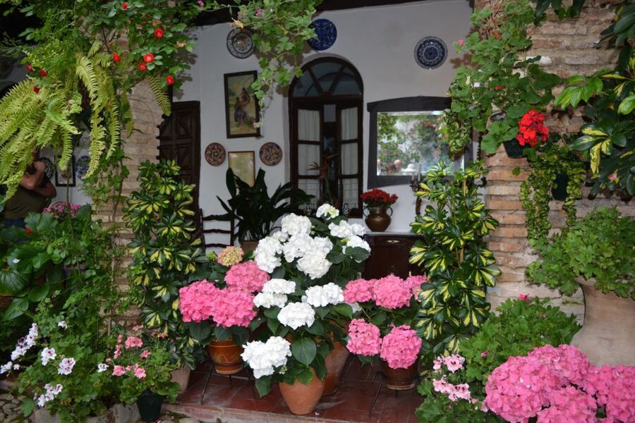 Sights, Sounds, and Scents of Córdoba's Patios - The route through Santa Marina, San Agustín, and San Lorenzo