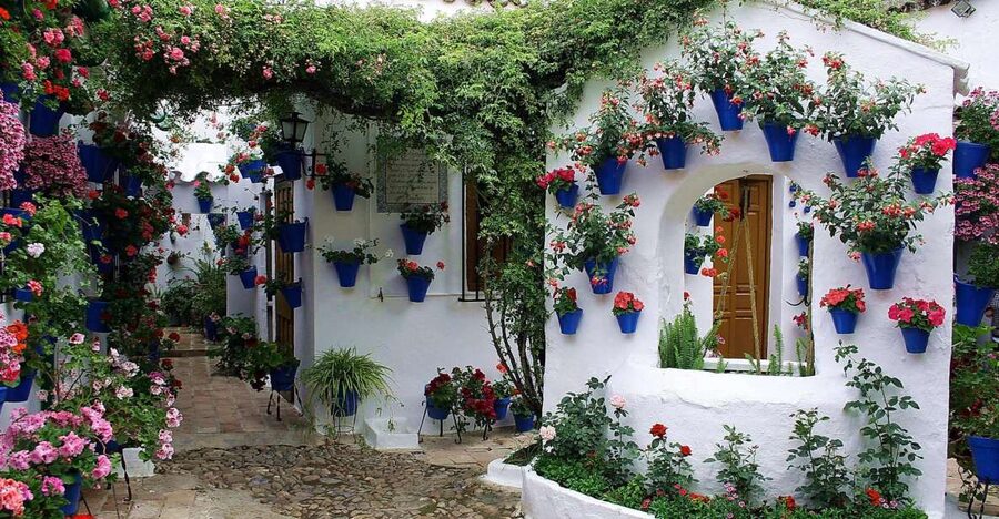 Sights, Sounds, and Scents of Córdoba's Patios - The wine stop: Fino Montilla-Moriles in a typical tavern
