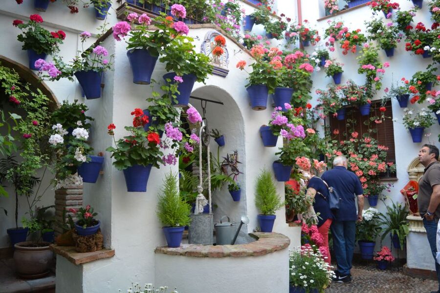 Sights, Sounds, and Scents of Córdoba's Patios - How the guide shapes your experience (and why it matters here)