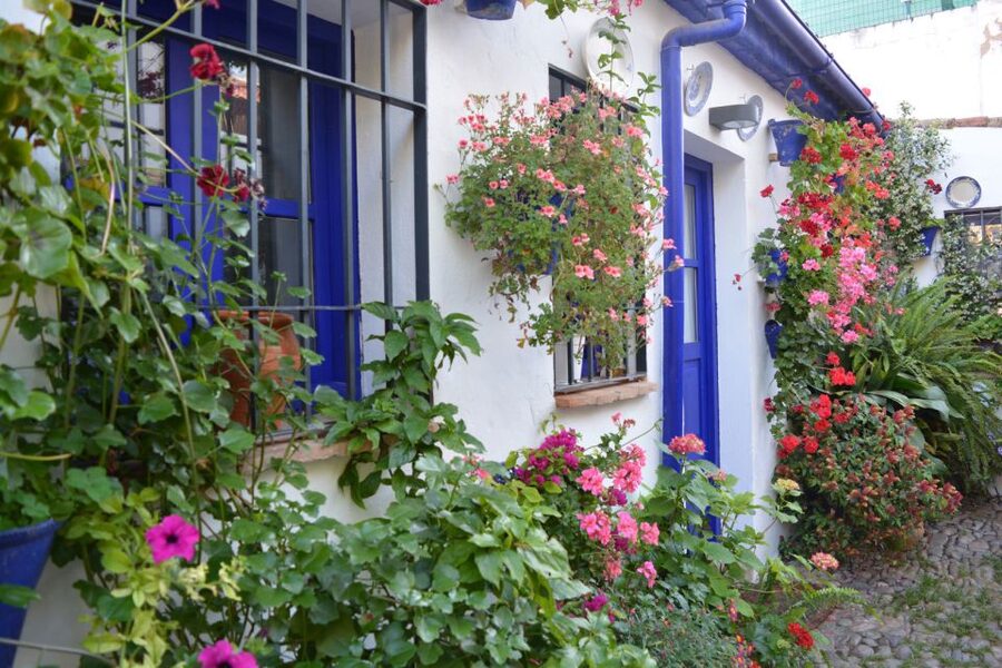 Sights, Sounds, and Scents of Córdoba's Patios - Who should book, and who might skip this one