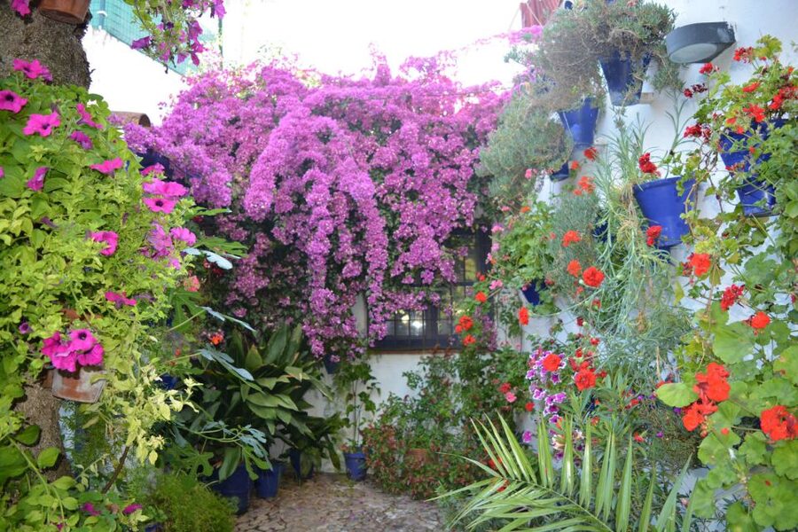 Sights, Sounds, and Scents of Córdoba's Patios - Starting at Monumento a Manolete and finding Santa Marina fast