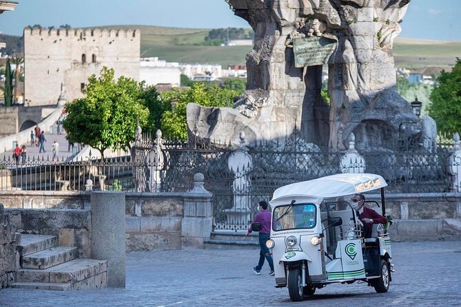 Tuk tuk route through Córdoba - Alcázar de los Reyes Cristianos: fortress, royal residence, and royal births