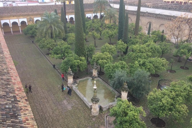 Visit in Spanish to the Cathedral Mosque. Does not include entrance ticket - The guide matters: look for clear, friendly pacing