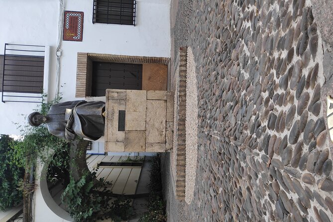 Walking Tour in Heritage center of Cordoba - Calleja de las Flores: The Most Beautiful Lane Moment (Fast)